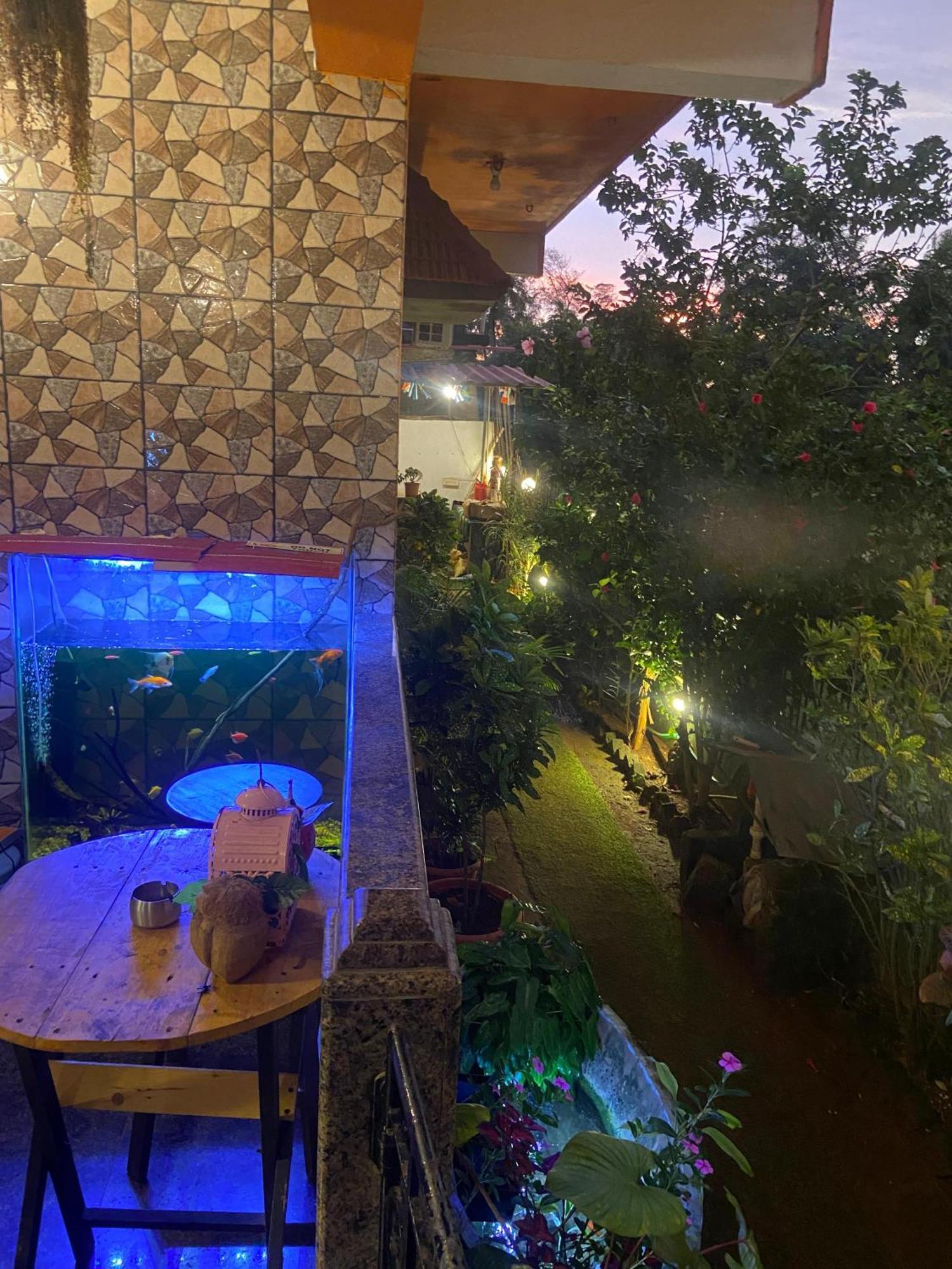 Last Minute Trip Hostel Morjim Exterior photo
